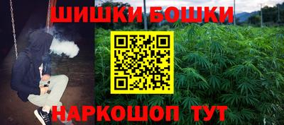 гидра Будённовск