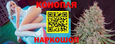 гидра Будённовск