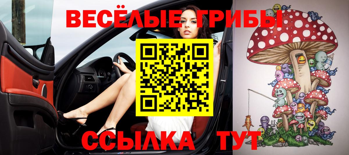Галлюциногенные грибы Cubensis  Вход с VPN  Углич 